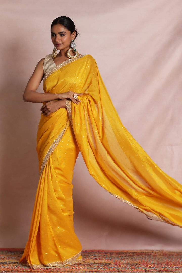 Handloom Organza Saree with Embellished work