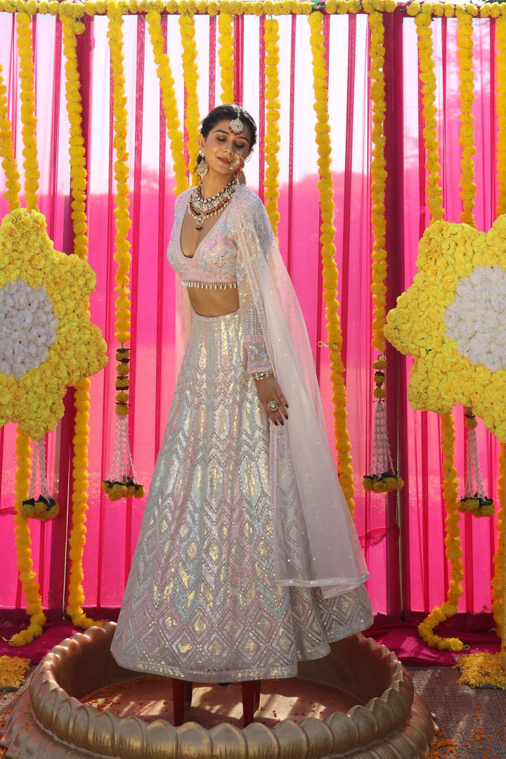 Embellished Net Lehenga with Sequins work