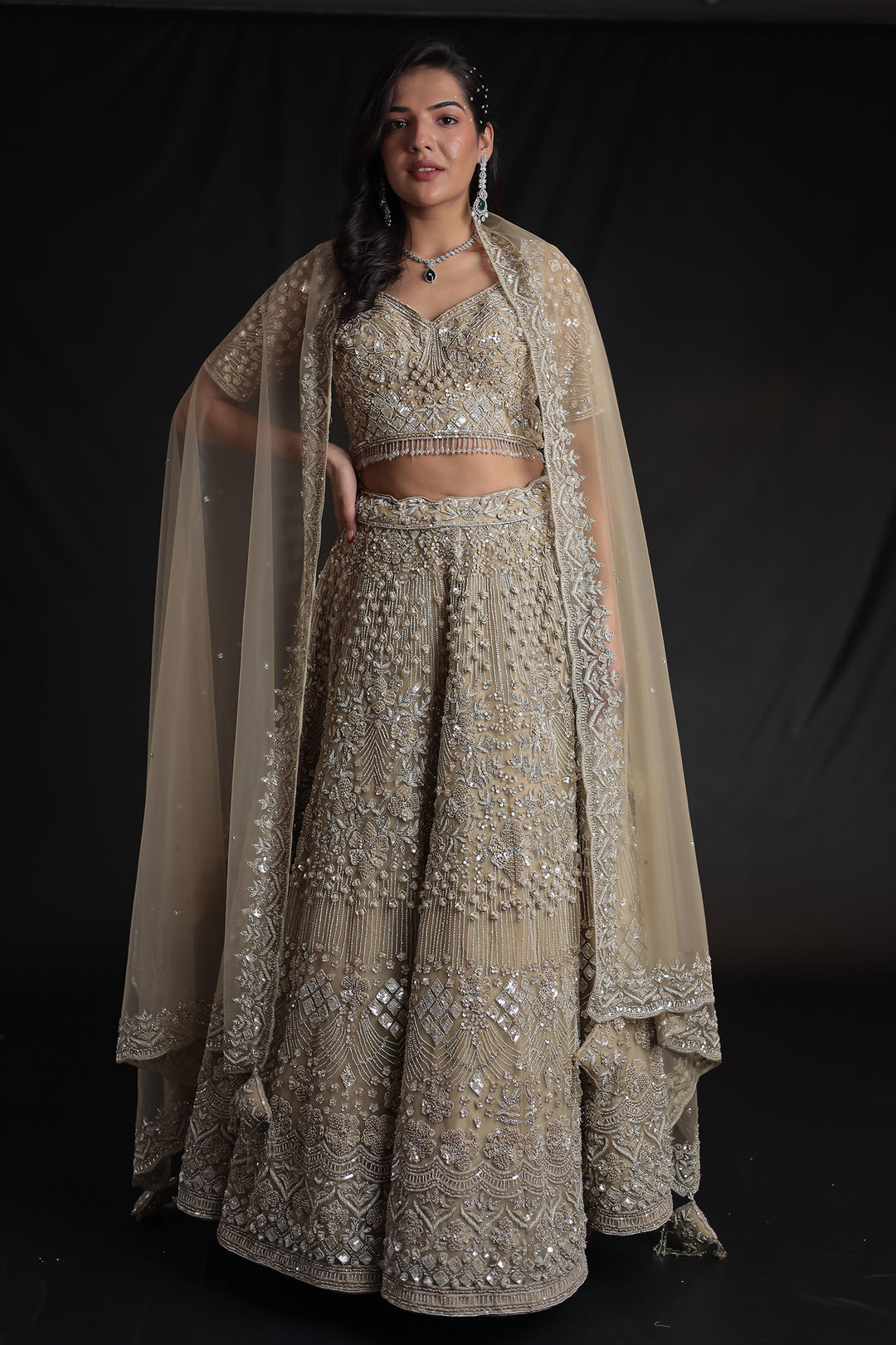 Embellished Net Lehenga with Intricate Detailing