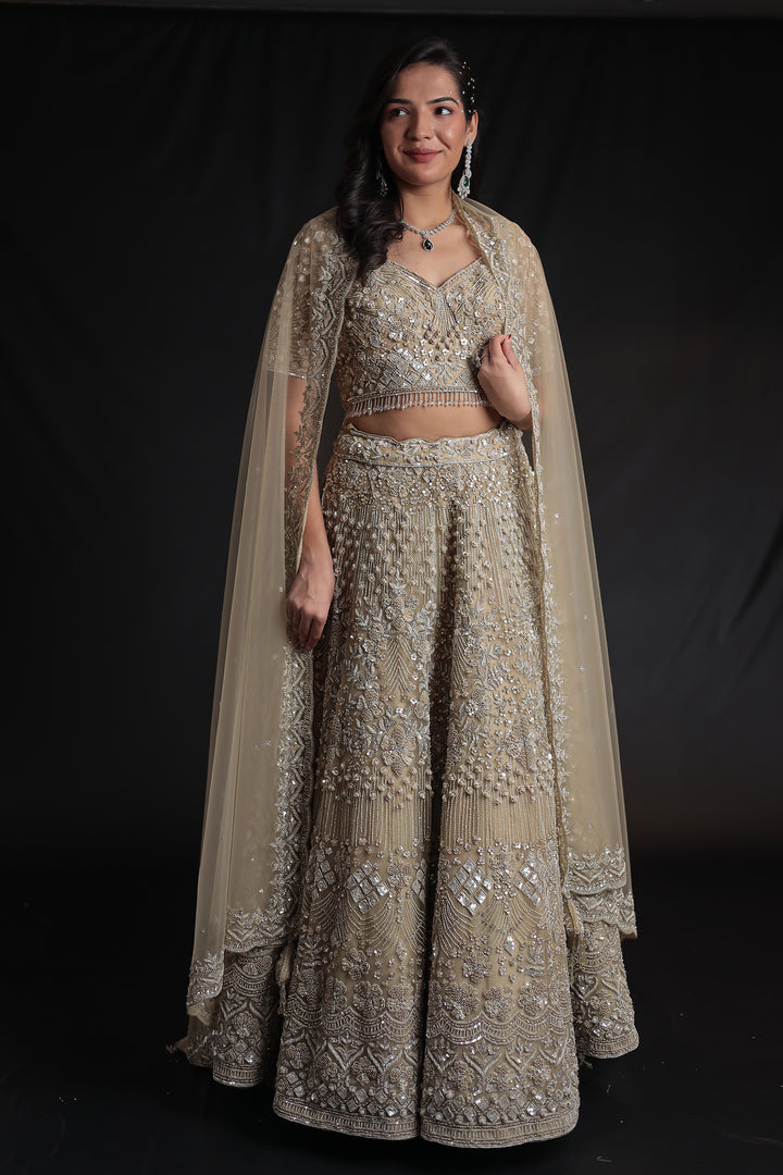 Embellished Net Lehenga with Intricate Detailing