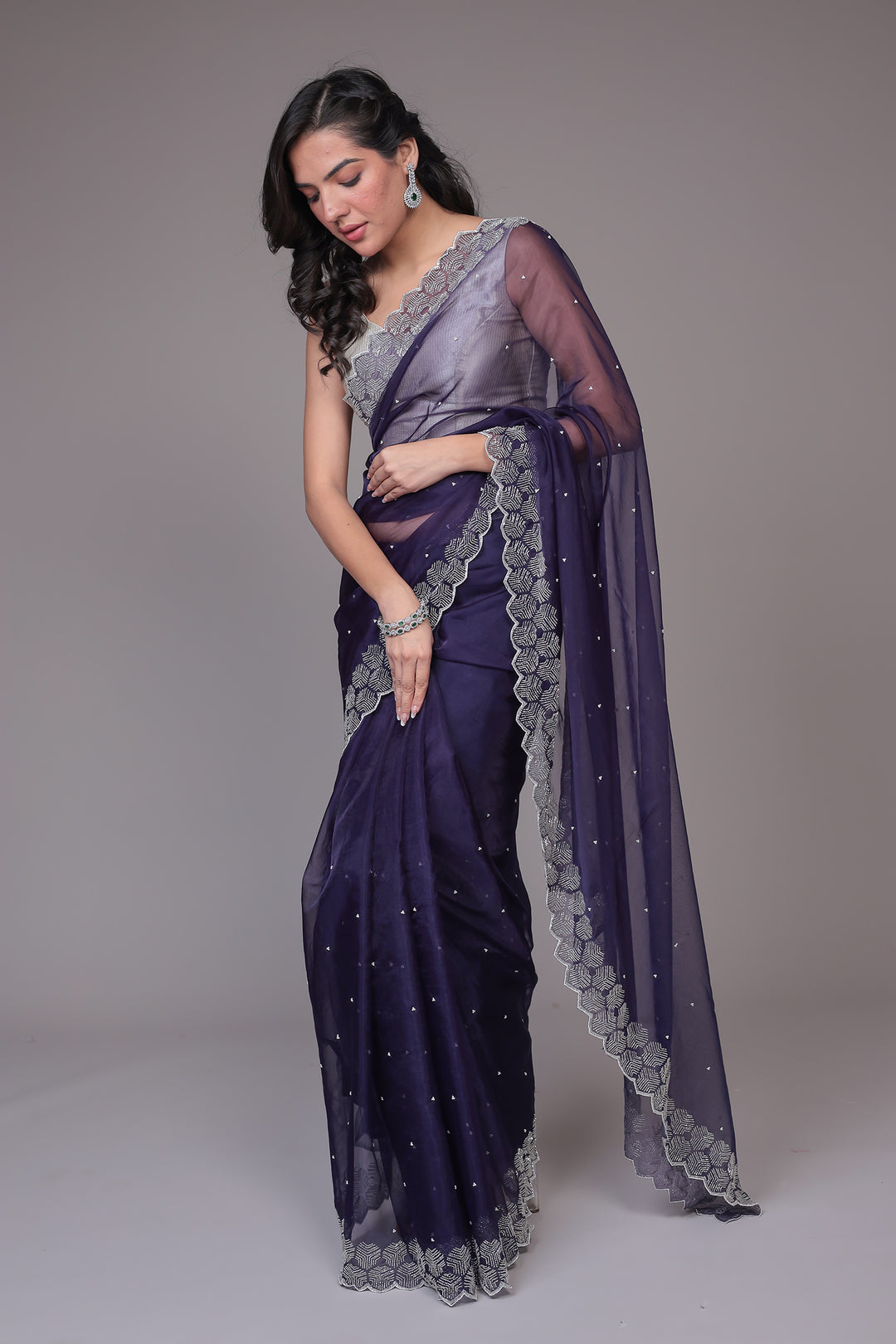 Saree in Sheer Net with Fancy Embellishment Work