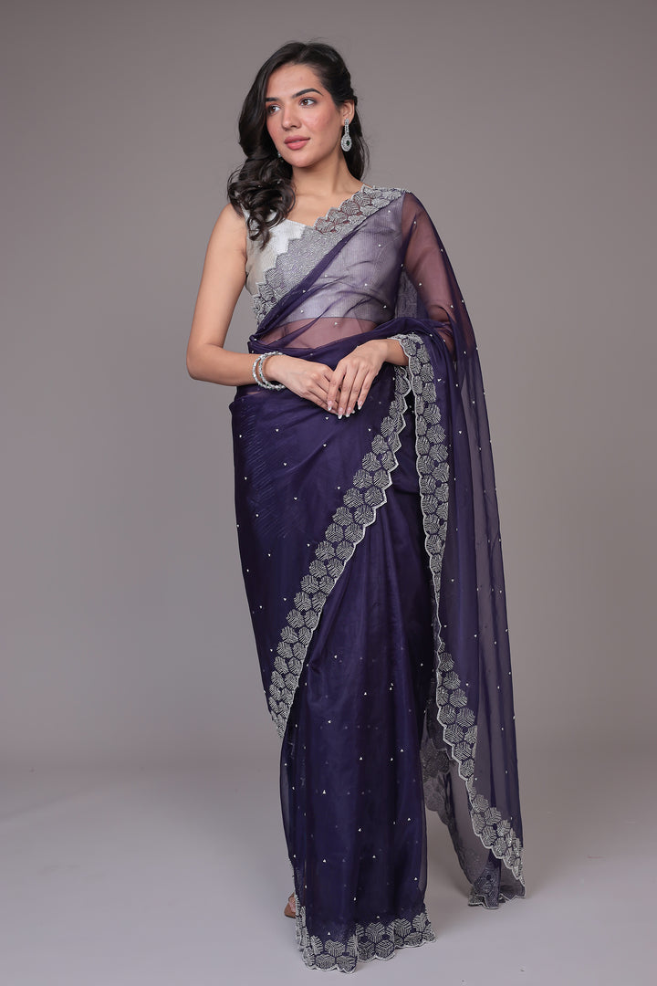 Saree in Sheer Net with Fancy Embellishment Work