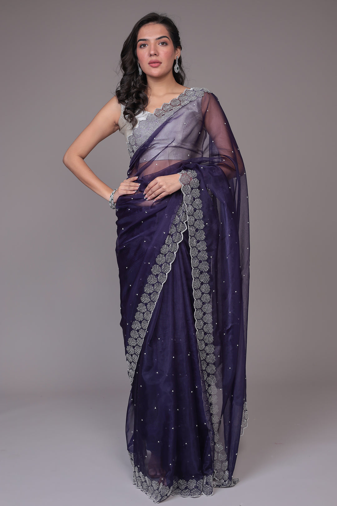 Saree in Sheer Net with Fancy Embellishment Work