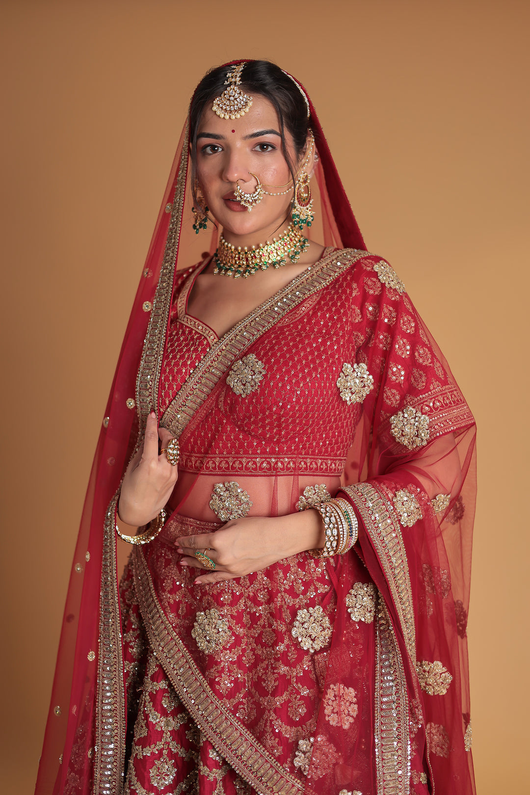 Silk Lehenga with Sequins and Embroidered work