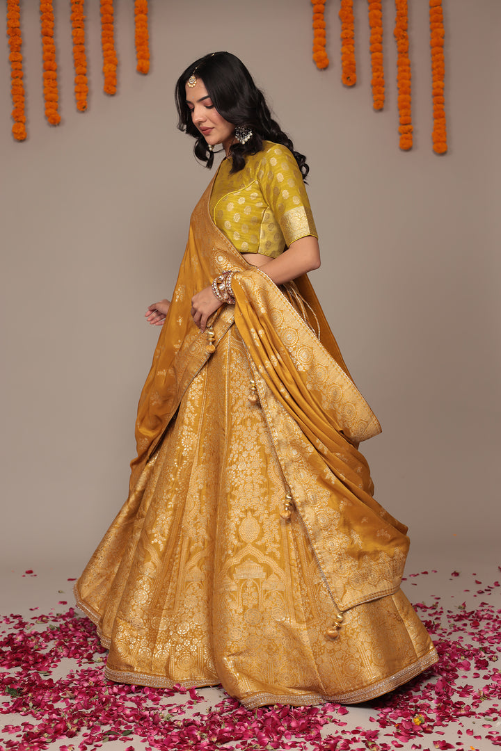 Banarasi Silk Lehenga