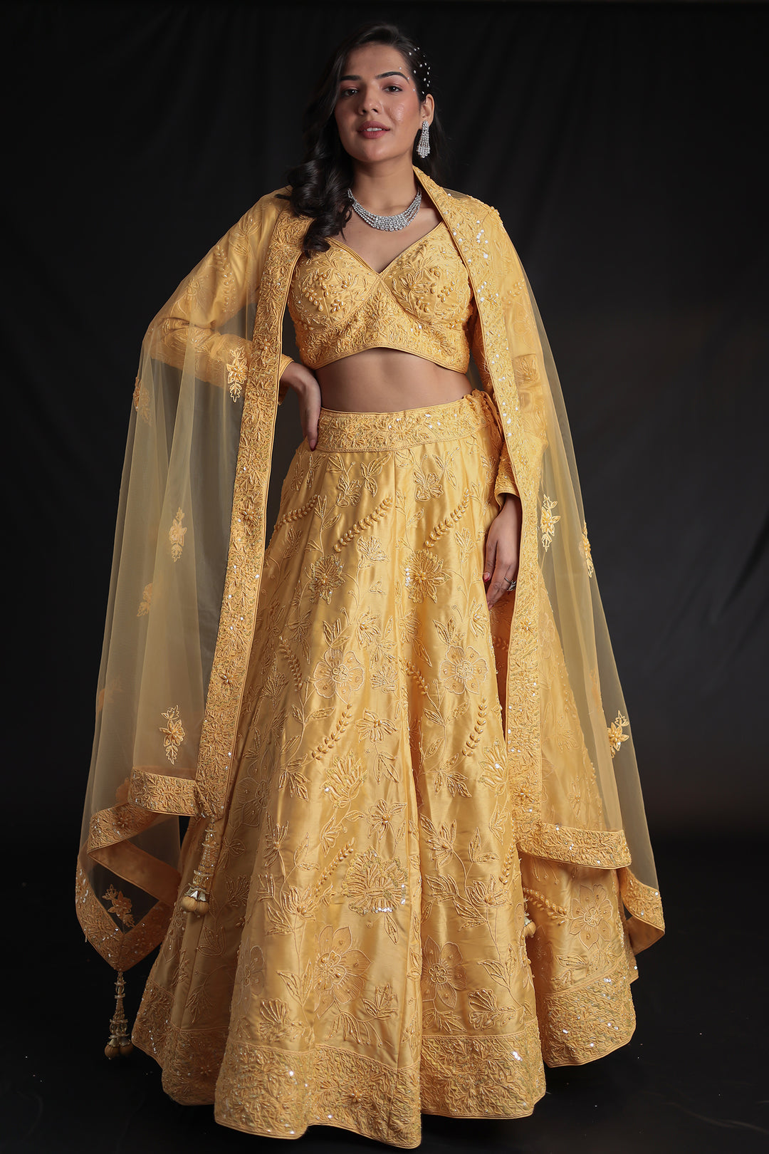 Embroidered Silk Lehenga with Embellished Detailing