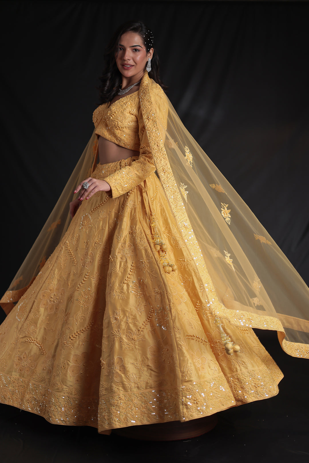 Embroidered Silk Lehenga with Embellished Detailing