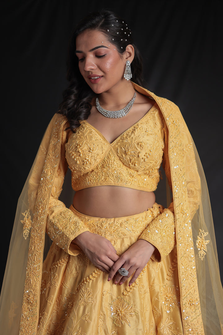 Embroidered Silk Lehenga with Embellished Detailing