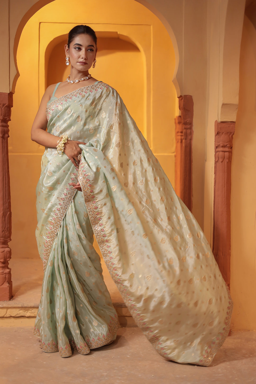 Banarasi Tissue Saree with Gota Patti and Embroidered work