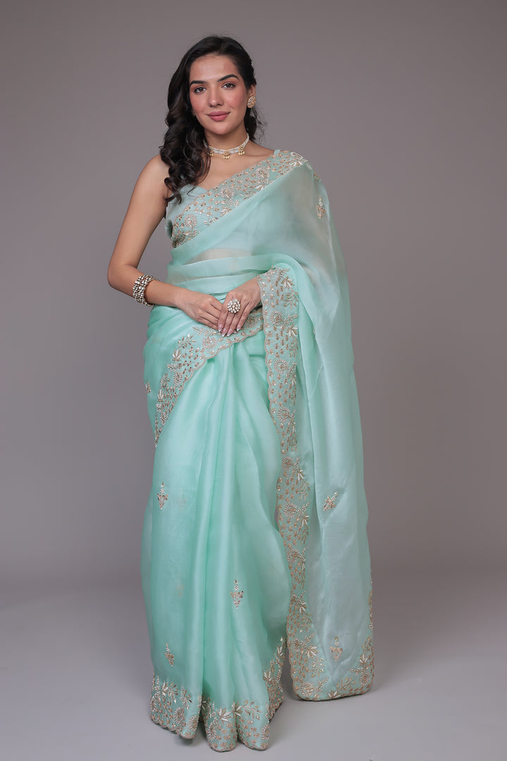 Organza Saree Embroidered with Dori and Zardozi work