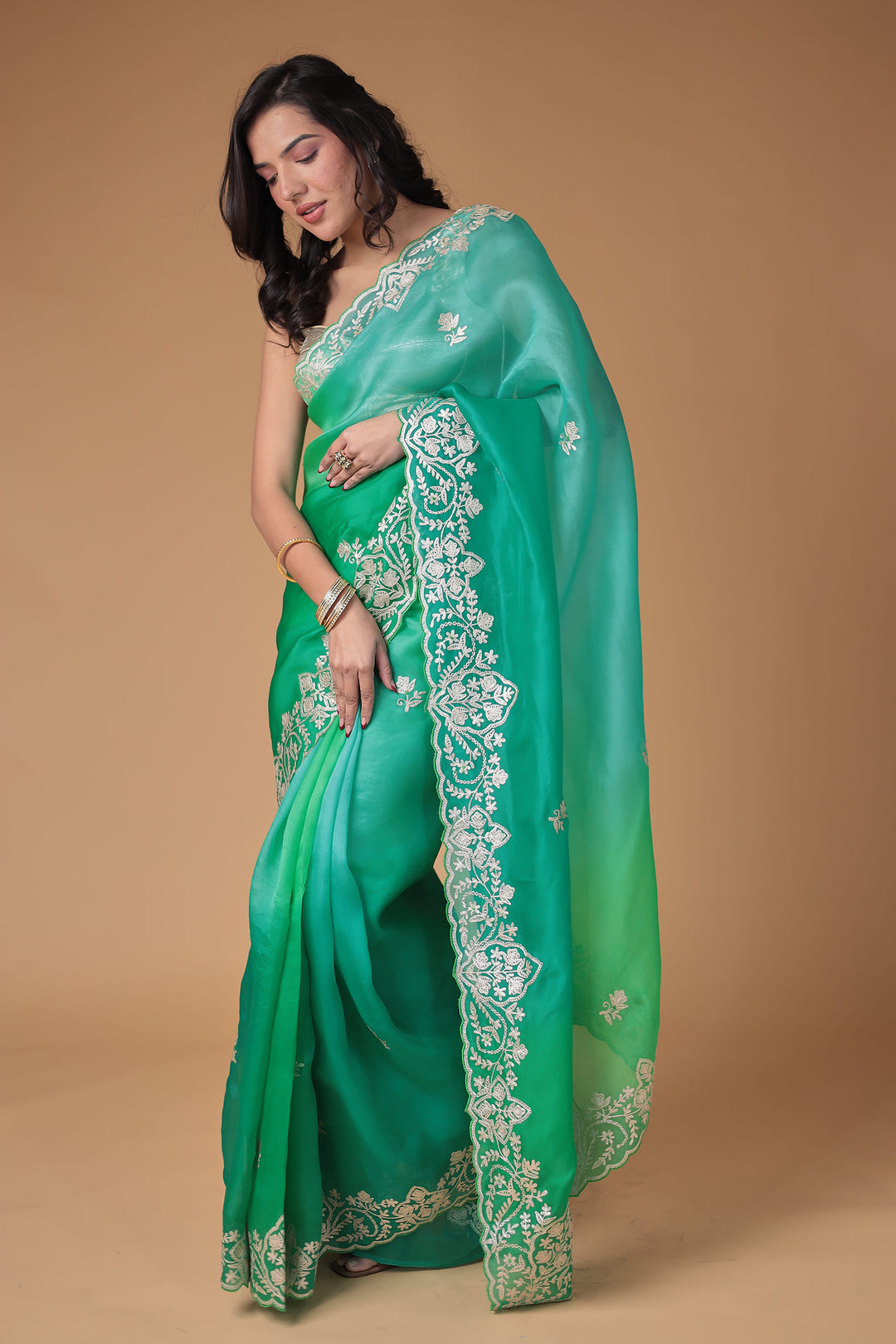 Organza Saree Embroidered with Pittan work