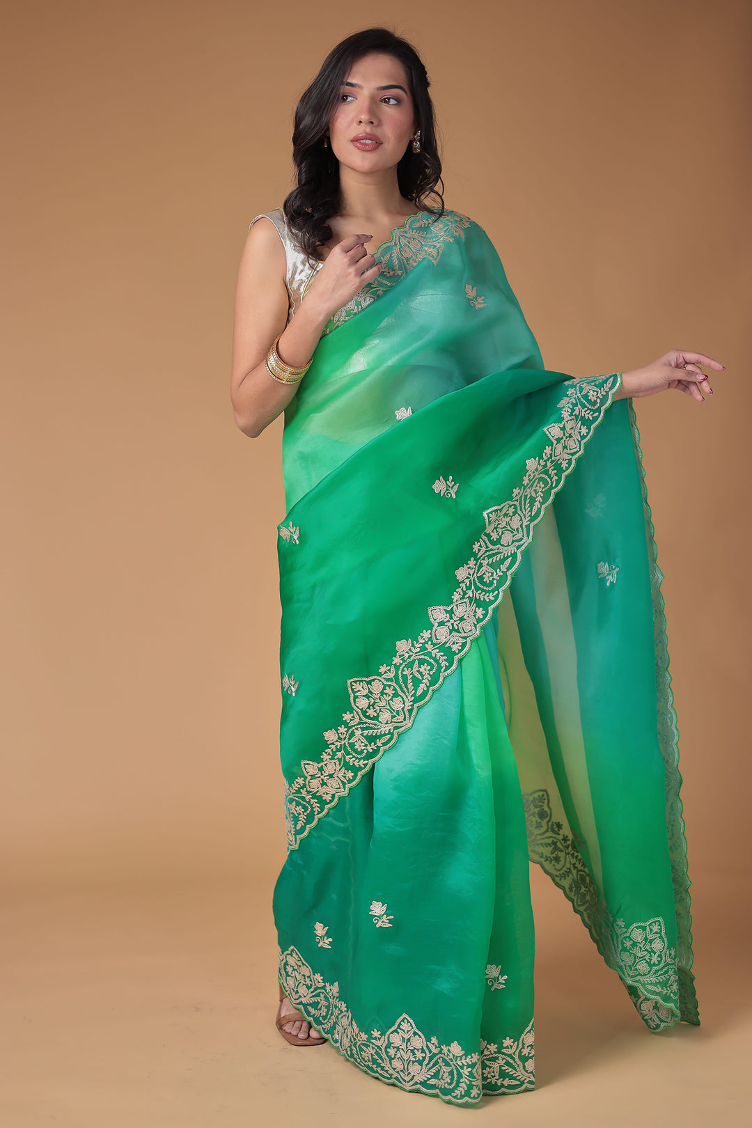 Organza Saree Embroidered with Pittan work