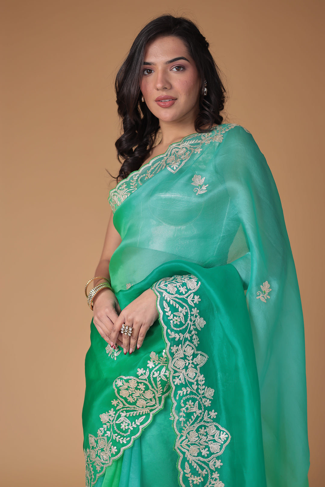 Organza Saree Embroidered with Pittan work