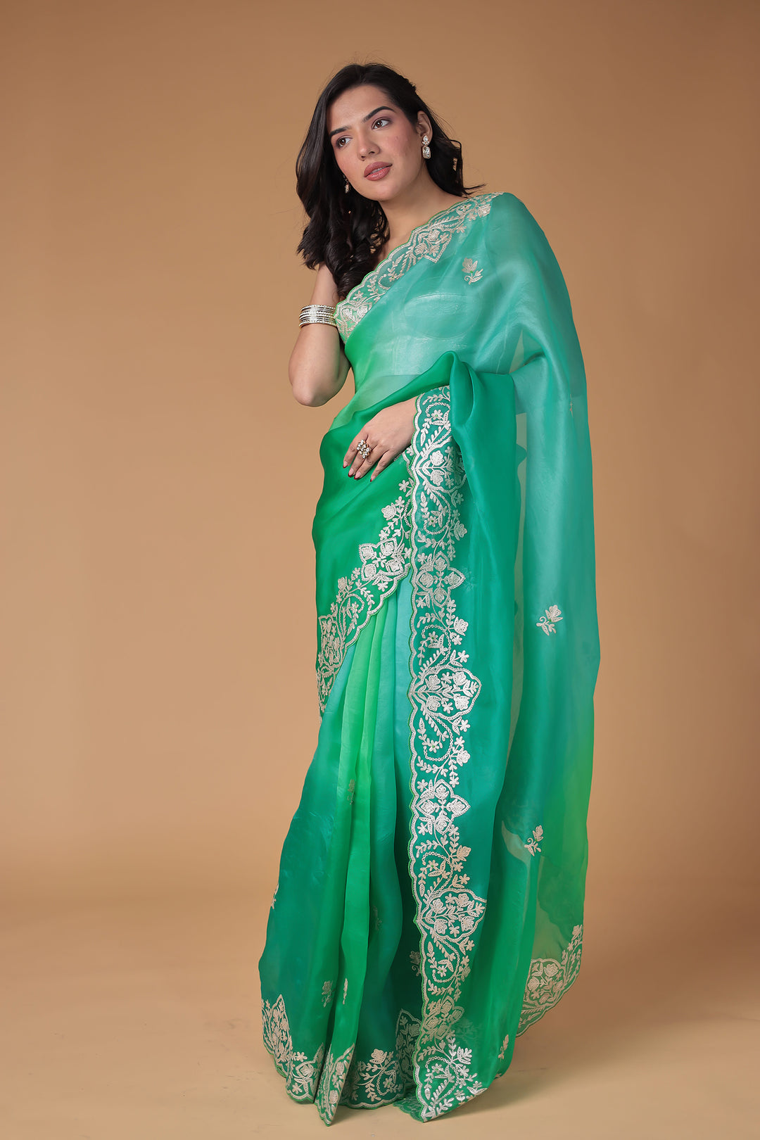 Organza Saree Embroidered with Pittan work