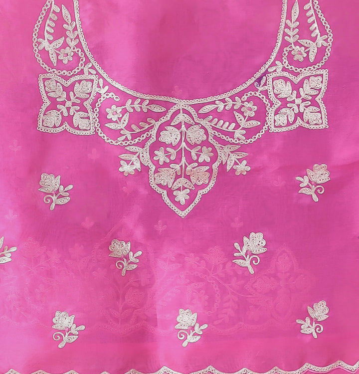 Organza Saree Embroidered with Pittan work