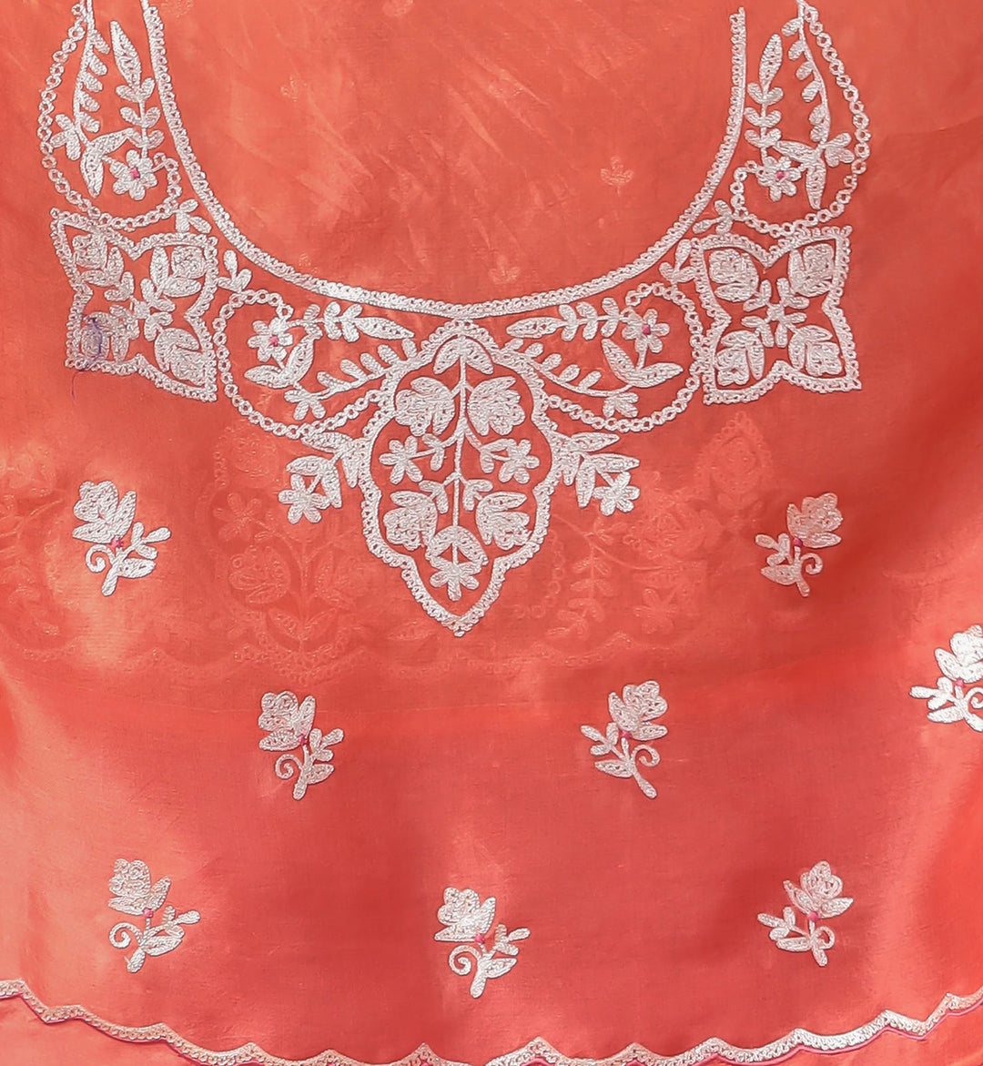 Organza Saree Embroidered with Pittan work