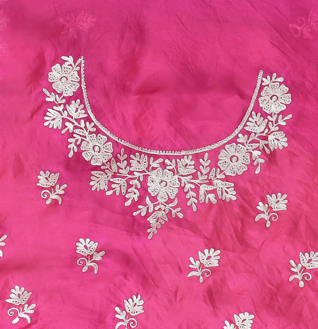 Organza Saree Embroidered with Pittan work