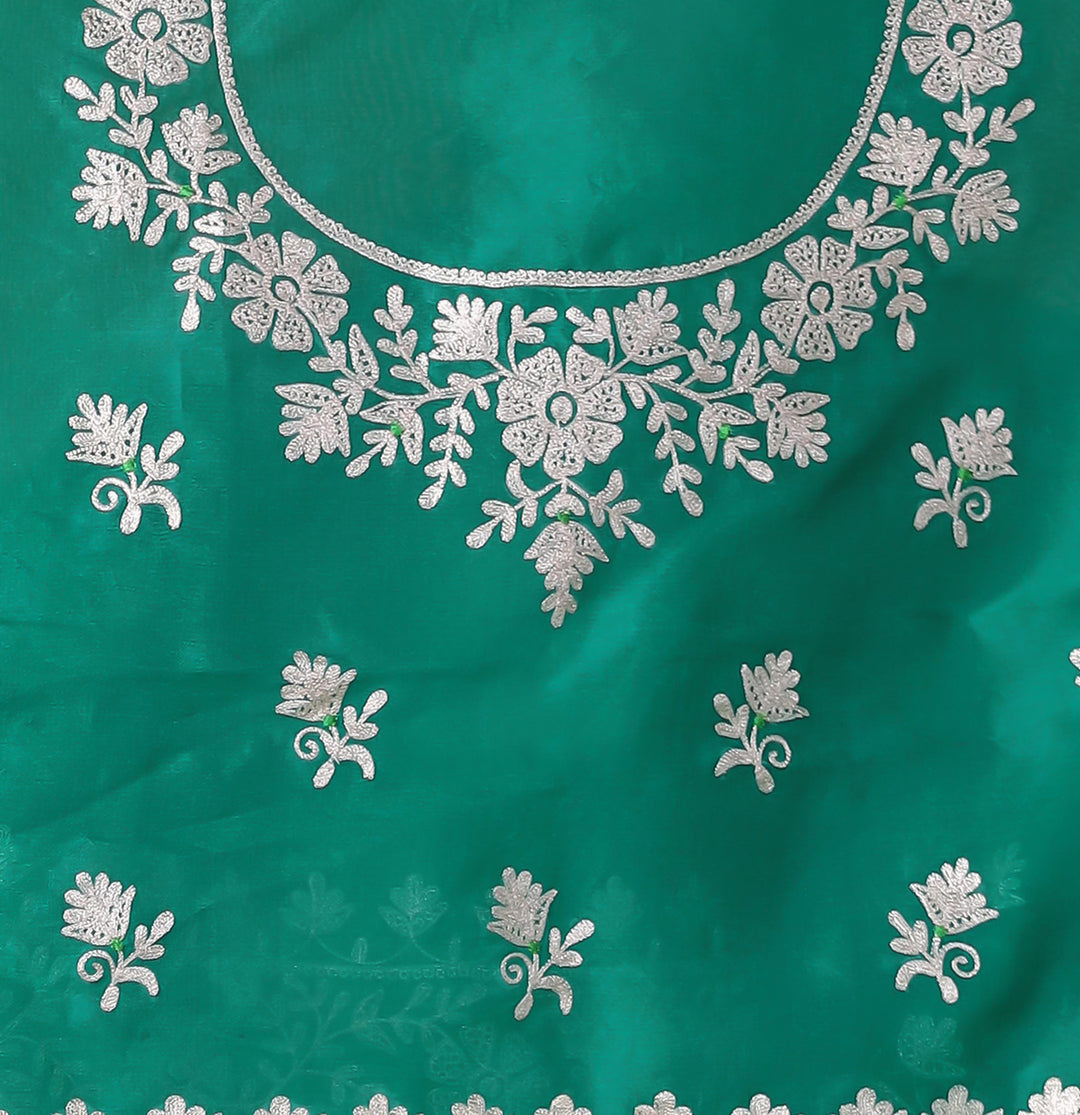 Organza Saree Embroidered with Pittan work