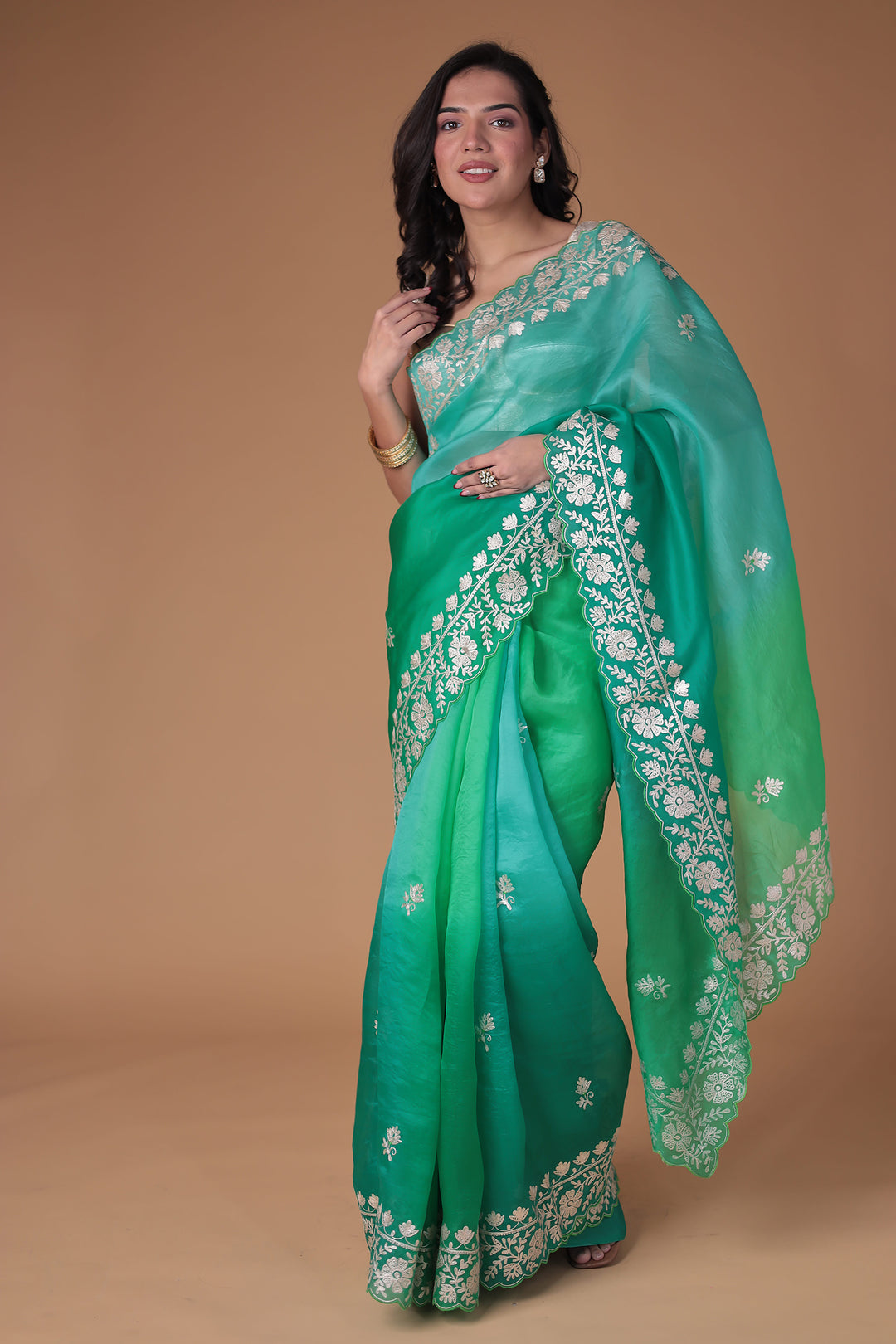 Organza Saree Embroidered with Pittan work