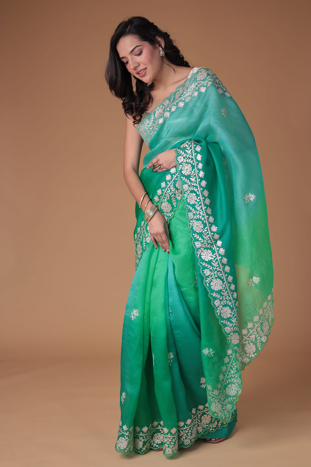 Organza Saree Embroidered with Pittan work