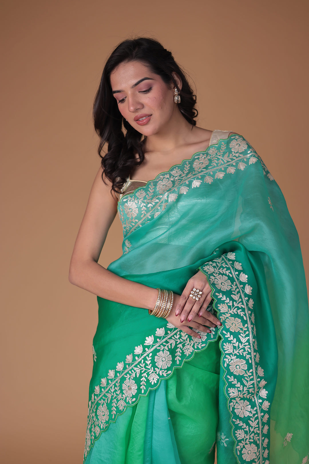 Organza Saree Embroidered with Pittan work