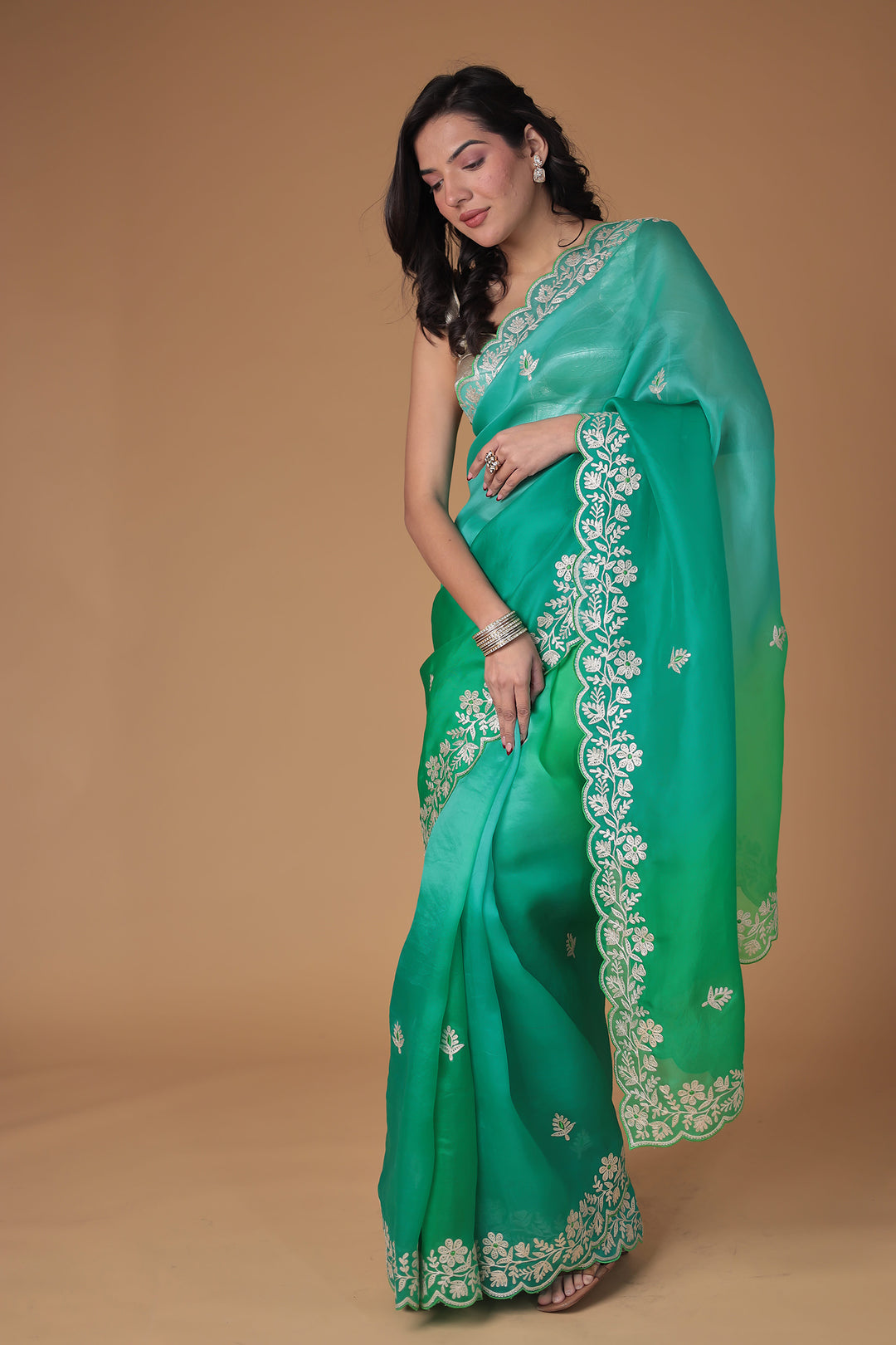 Organza Saree with Pittan work