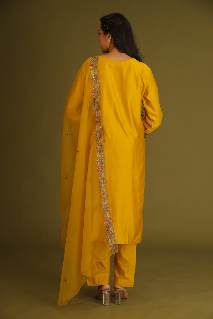 Indian wear, traditional wear, womens wear, ethnic wear Suit, Suits, 