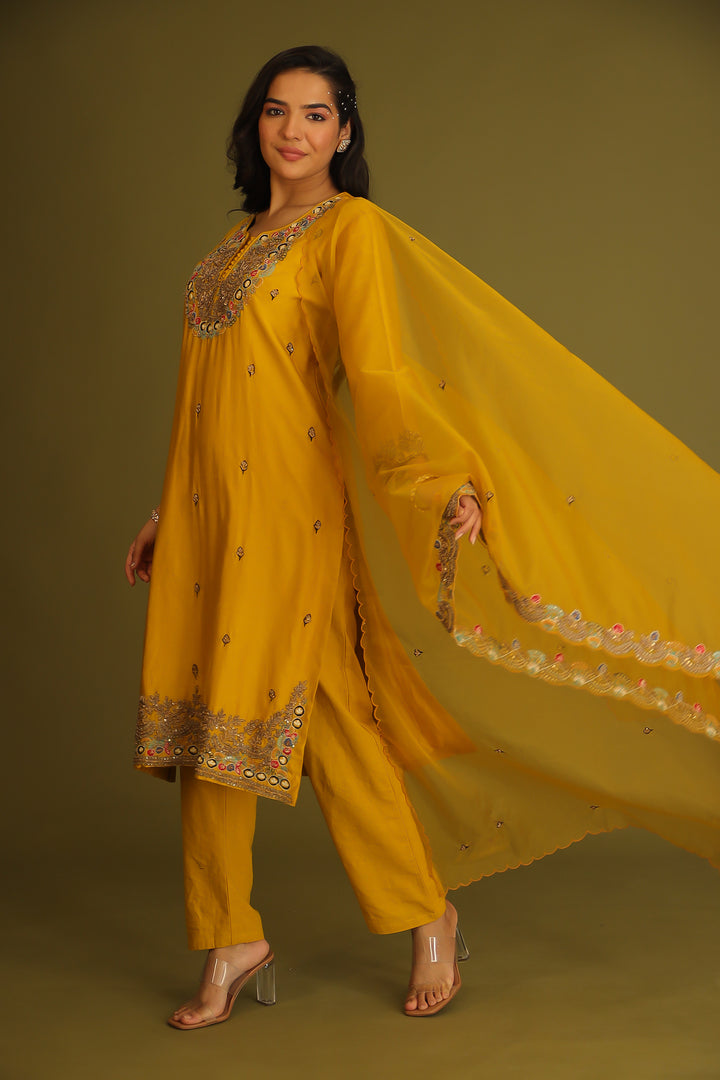 Indian wear, traditional wear, womens wear, ethnic wear Suit, Suits, 