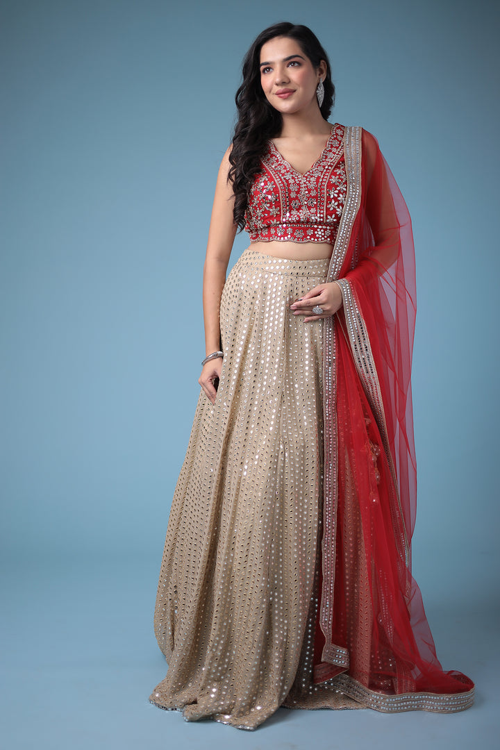 Lehenga Choli, Lehengas, Indian wear, traditional wear, womens wear, ethnic wear 