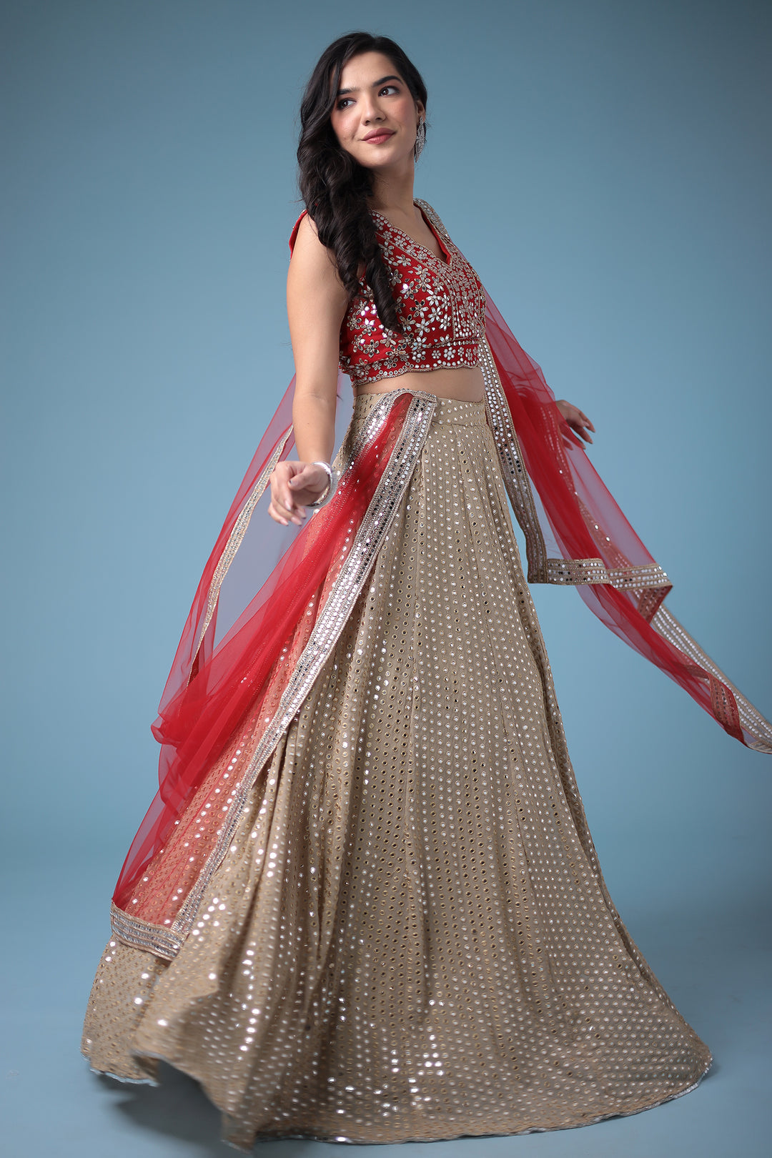 Lehenga Choli, Lehengas, Indian wear, traditional wear, womens wear, ethnic wear 