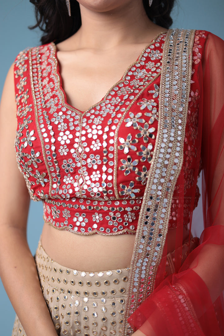 Lehenga Choli, Lehengas, Indian wear, traditional wear, womens wear, ethnic wear 