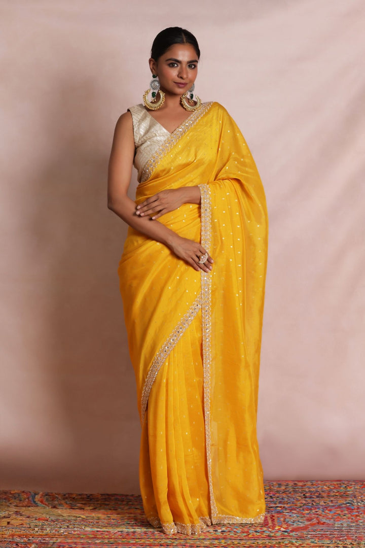 Handloom Organza Saree with Embellished work