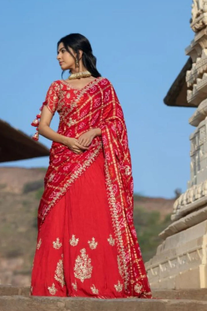 Lehenga Choli, Lehengas, Indian wear, traditional wear, womens wear, ethnic wear 