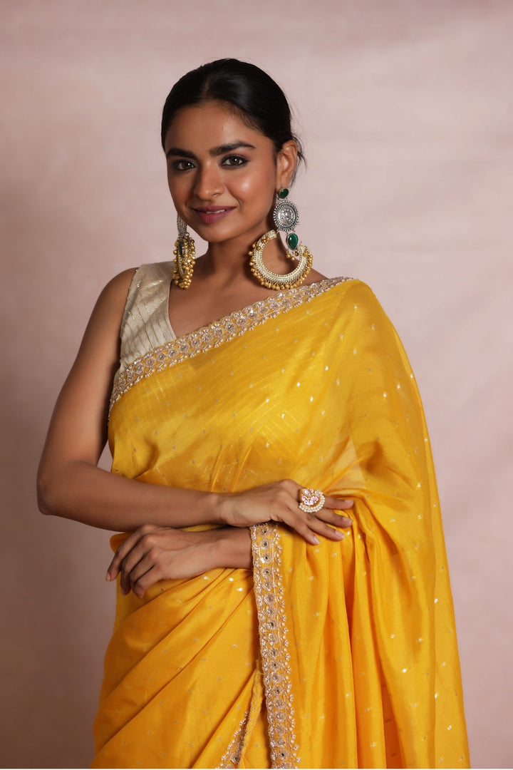 Handloom Organza Saree with Embellished work