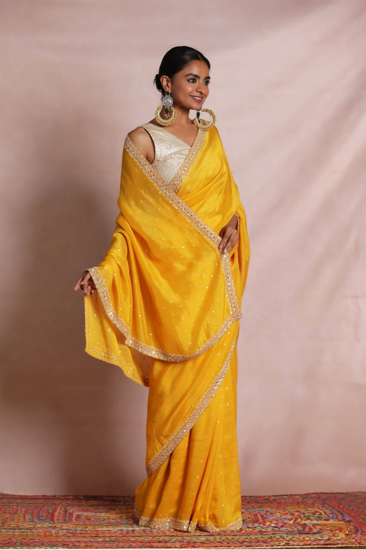 Handloom Organza Saree with Embellished work