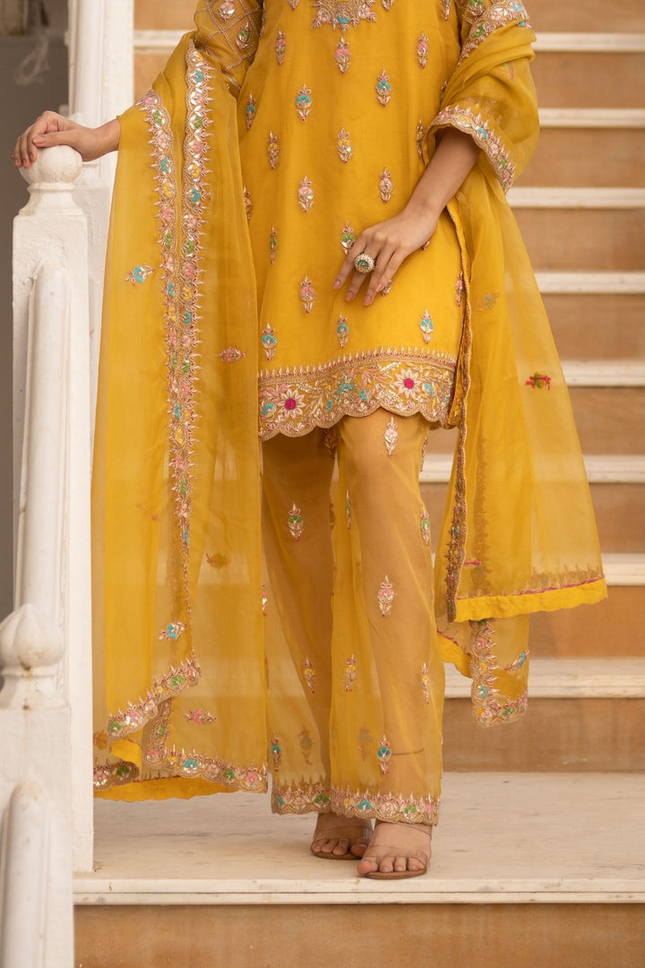 Indian wear, traditional wear, womens wear, ethnic wear Suit, Suits, 