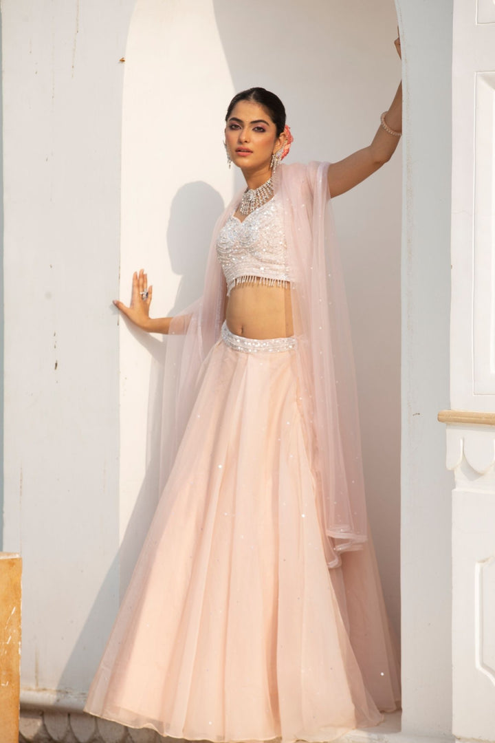 Lehenga Choli, Lehengas, Indian wear, traditional wear, womens wear, ethnic wear 