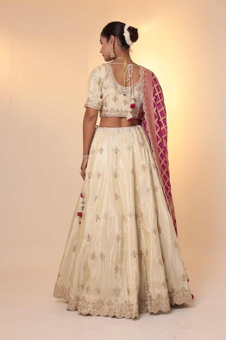 Indian Wear, Lehenga Sets, Lehenga choli Set, Shadi lehenga, Stylist Lehenga, Lehenga for Wedding, Branded Lehenga Sets, Zari Lehenga, Womesn Wear, Ethnic Wear, Traditional Wear