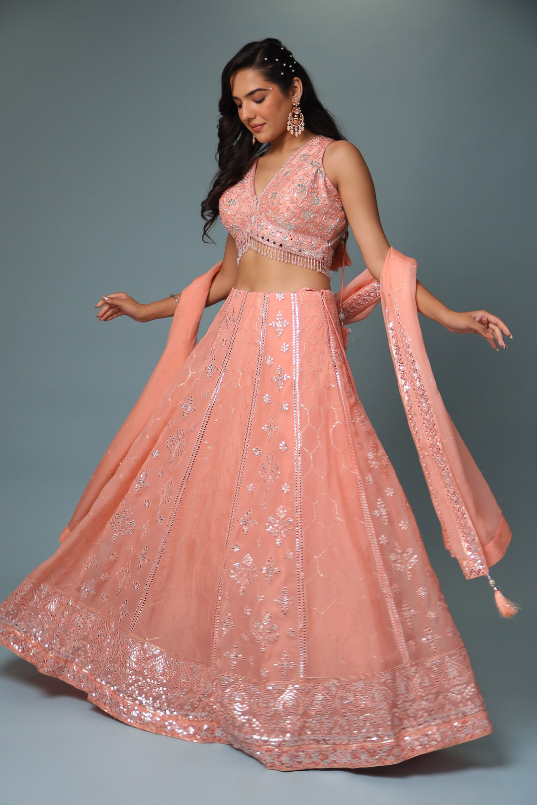 Lehenga Choli, Lehengas, Indian wear, traditional wear, womens wear, ethnic wear 