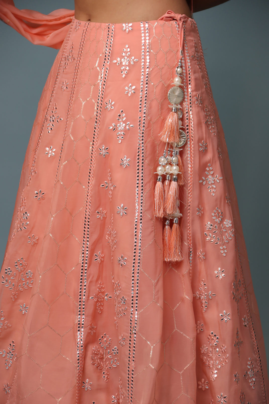 Lehenga Choli, Lehengas, Indian wear, traditional wear, womens wear, ethnic wear 