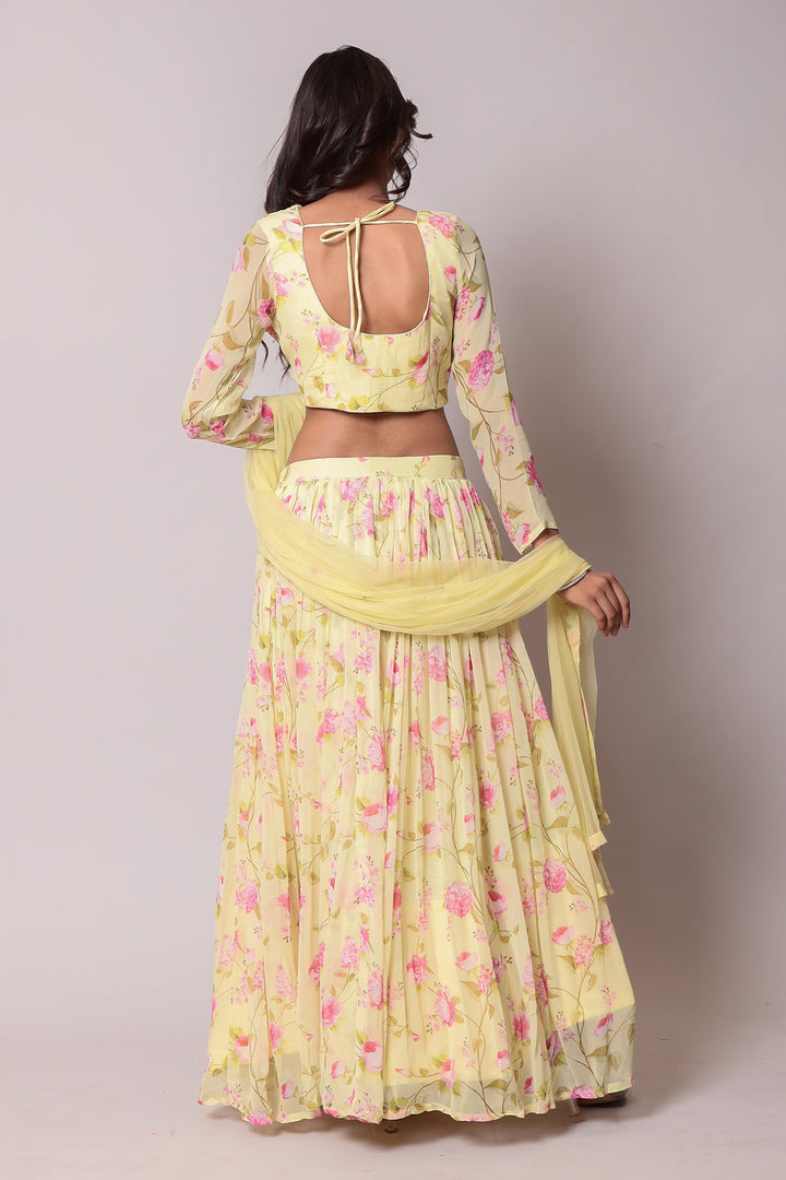 Lehenga Choli, Lehengas, Indian wear, traditional wear, womens wear, ethnic wear 