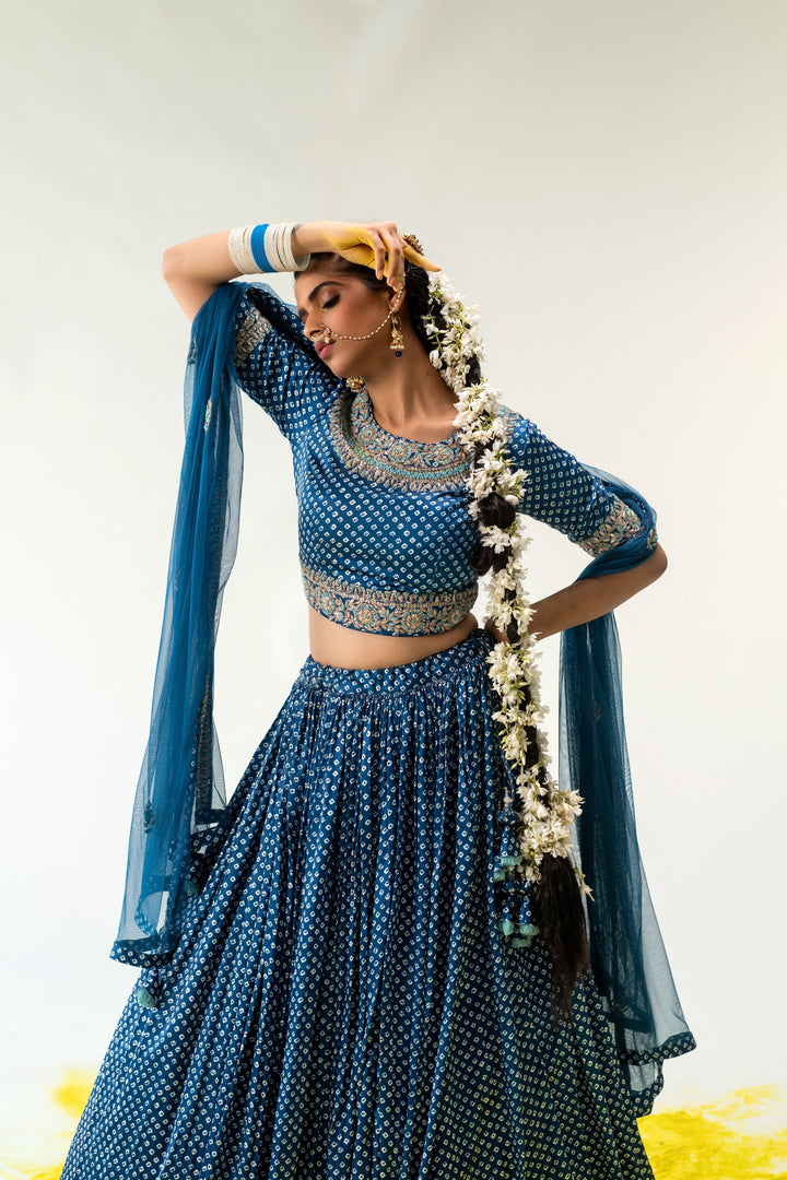 Lehenga Choli, Lehengas, Indian wear, traditional wear, womens wear, ethnic wear 